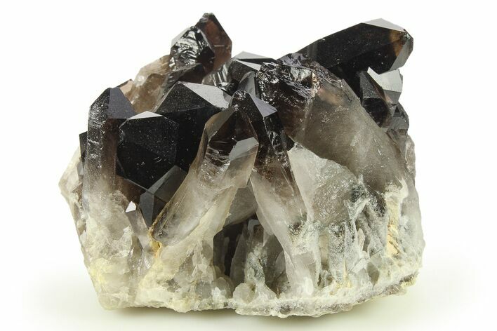 Dark Smoky Quartz Crystal Cluster - Brazil #272996